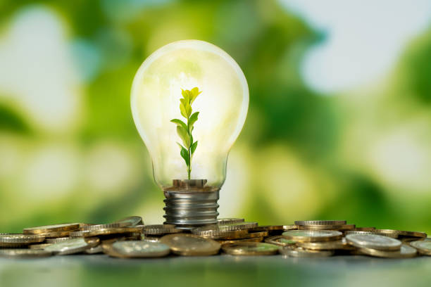 Energy Strategy & Power Acquisition